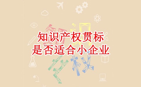 蘇州知識產權貫標，蘇州科技項目咨詢公司知識產權貫標是否適合小企業