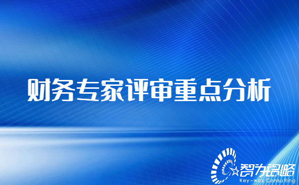 財務專家評審重點分析.jpg