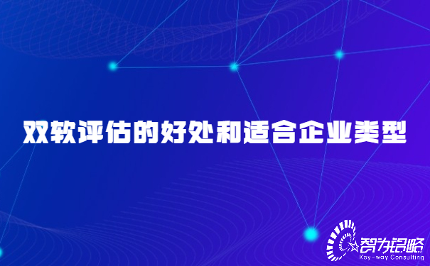 雙軟評估的好處和適合企業類型.jpg