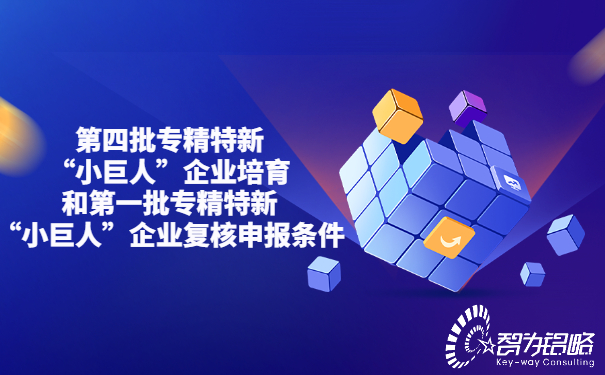 *四批專精特新“小巨人”企業培育和*一批專精特新“小巨人”企業復核申報條件.jpg