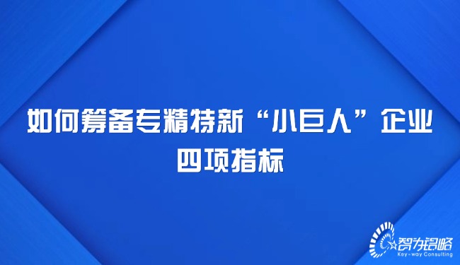 如何籌備專精特新“小巨人”企業(yè)四項指標(biāo).jpg