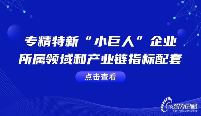 專精特新“小巨人”企業(yè)的所屬領(lǐng)域和產(chǎn)業(yè)鏈指標配套.jpg